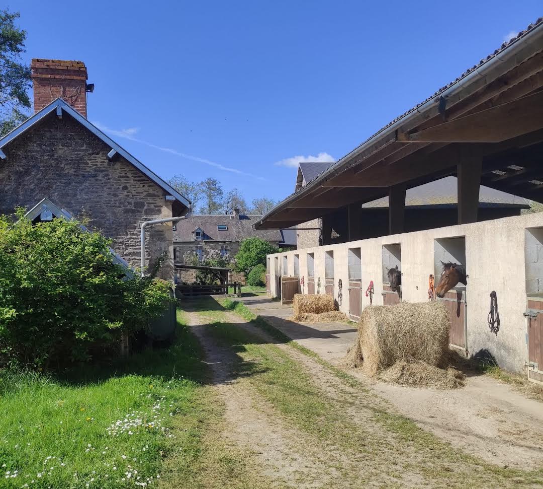 Boxes et paddocks du Haras de la Baronnie, chevaux à la fenêtre